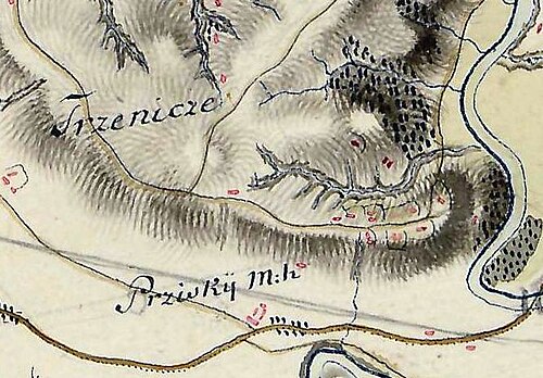 Trzcinica