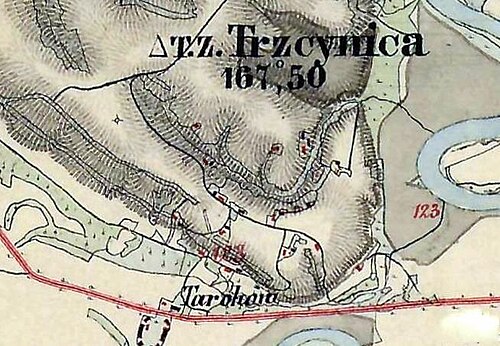 Trzcinica (1879)