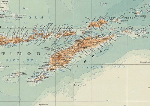 Mapa wyspy Timor z lat 20.