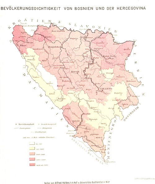 Bośnia i Hercegovina. Obrazy podróży i studia