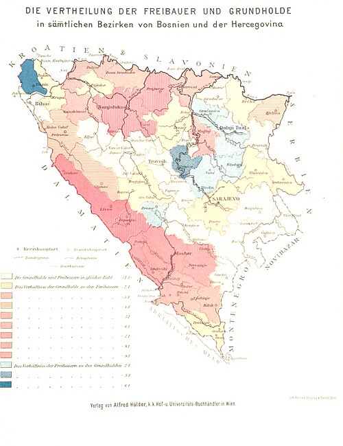 Bośnia i Hercegowina. Obrazy podróży i studia