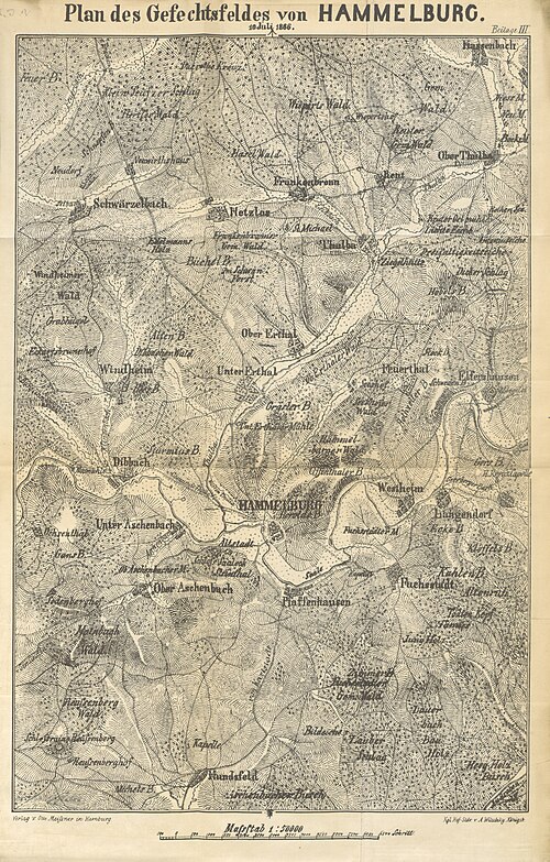 Kampania 1866 r. w Niemczech Zachodnich i Południowych