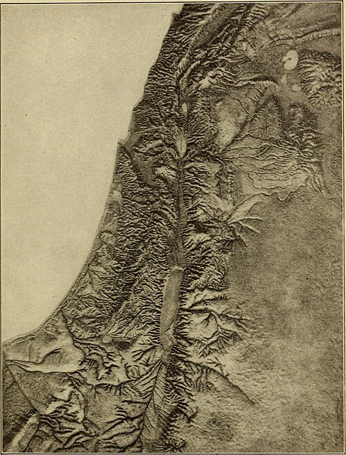 Badania rolnicze i botaniczne w Palestynie (1910)