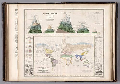 Alexander von Humboldt – 1850 – Geograficzne rozmieszczenie roślin