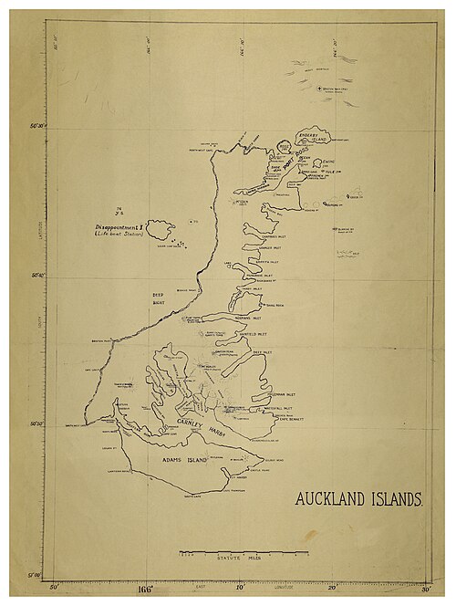 Wyspy Auckland (Maungahuka)