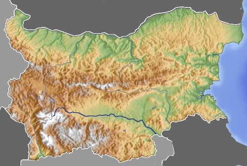 BG Topo 600x600 3