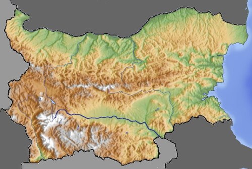 BG Topo 600x600 4
