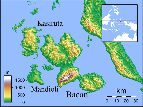 Bacan - lokalizator topografii