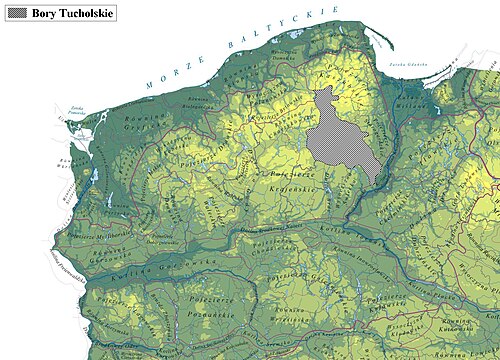 Bory Tucholskie