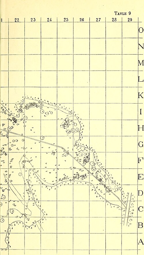 Czasopismo botaniczne (1916)