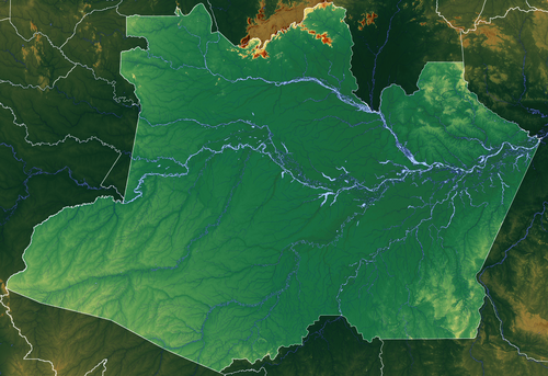 Brazylia Amazonas mapa rzeźby