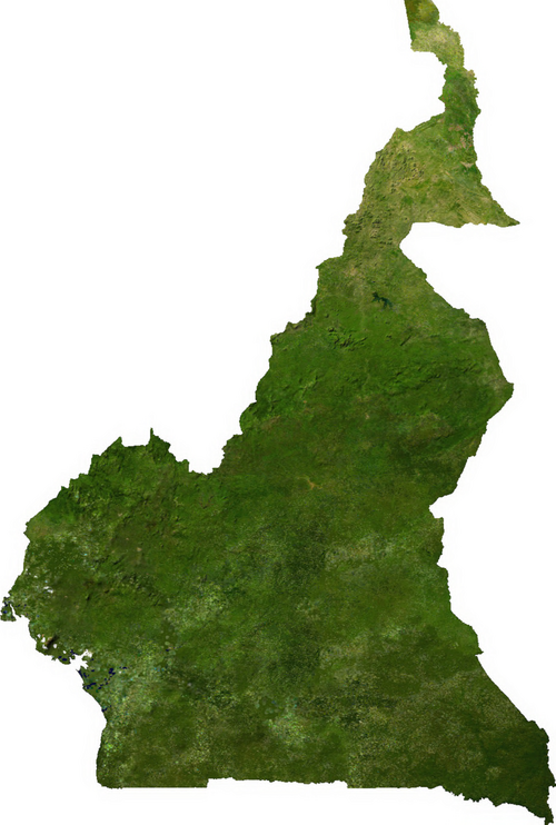 Kamerun satelita
