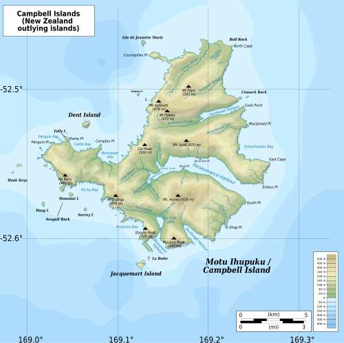 Mapa geograficzna Wyspy Campbella