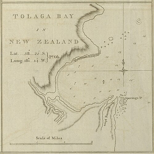 Mapa Tolaga Bay Cooka
