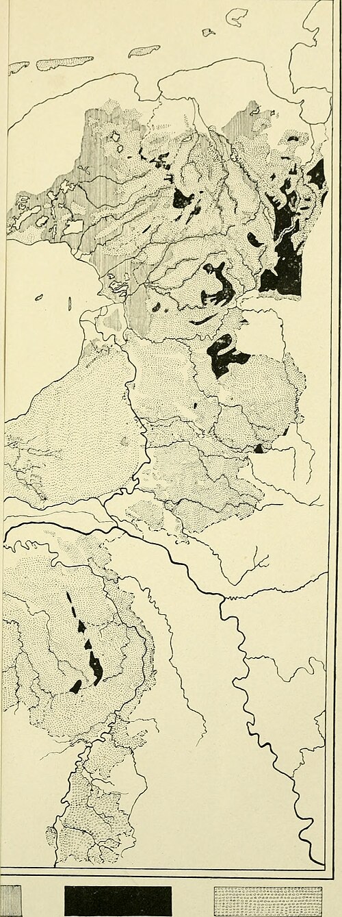 Flora Holandii (1909-11)