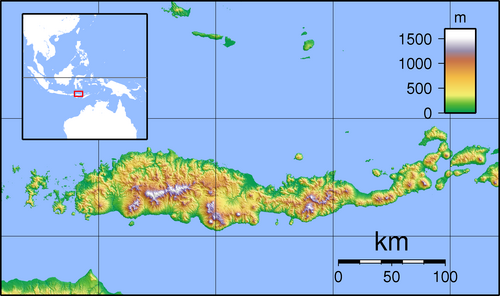 Flores - mapa topograficzna z lokalizacją