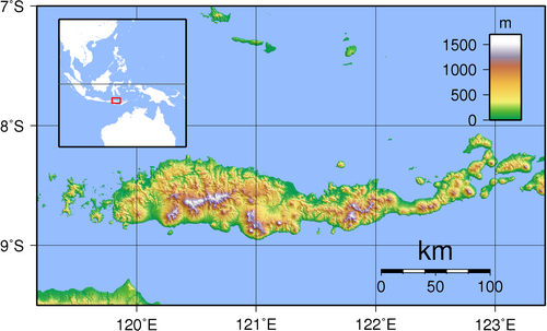 Flores - mapa topograficzna