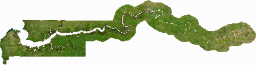 Mapa satelitarna Gambii