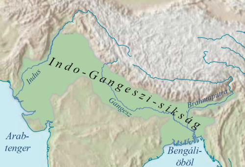 Nizina Indo-Gangesu