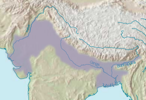 Nizina Indo-Gangesu