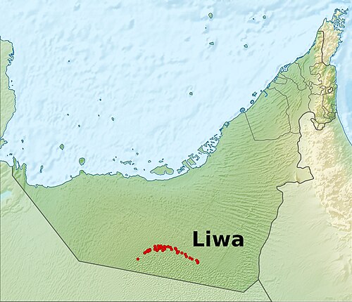 Lokalizacja oazy Liwa