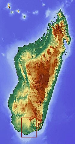 Wyspa Madagaskar