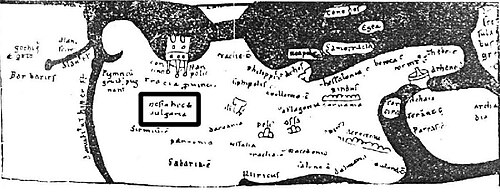 Mapa Świętego Hieronima - Mezja i Bułgaria
