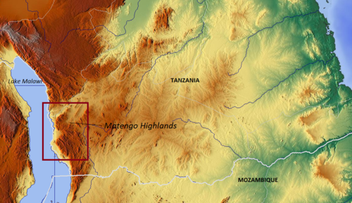 Highlands Matengo w Tanzanii
