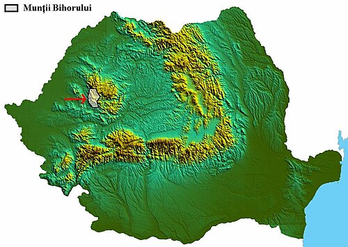 Góry Bihor