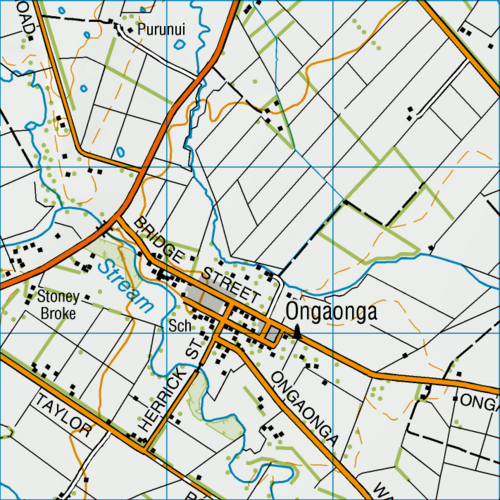 Mapa Ongaonga