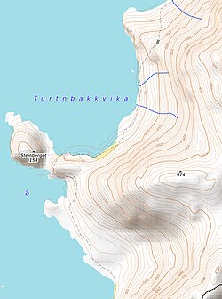 Topograficzna Moskenesøy SW
