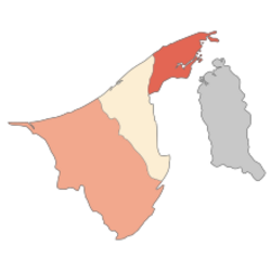 Pandemia w Brunei