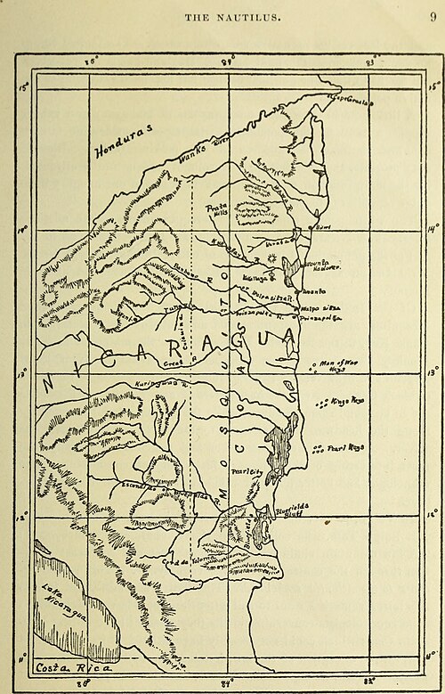 Wymiana konchologów (1905)