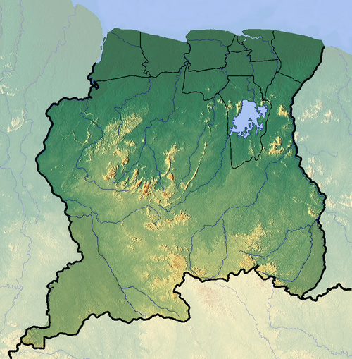 Mapa topograficzna Surinamu